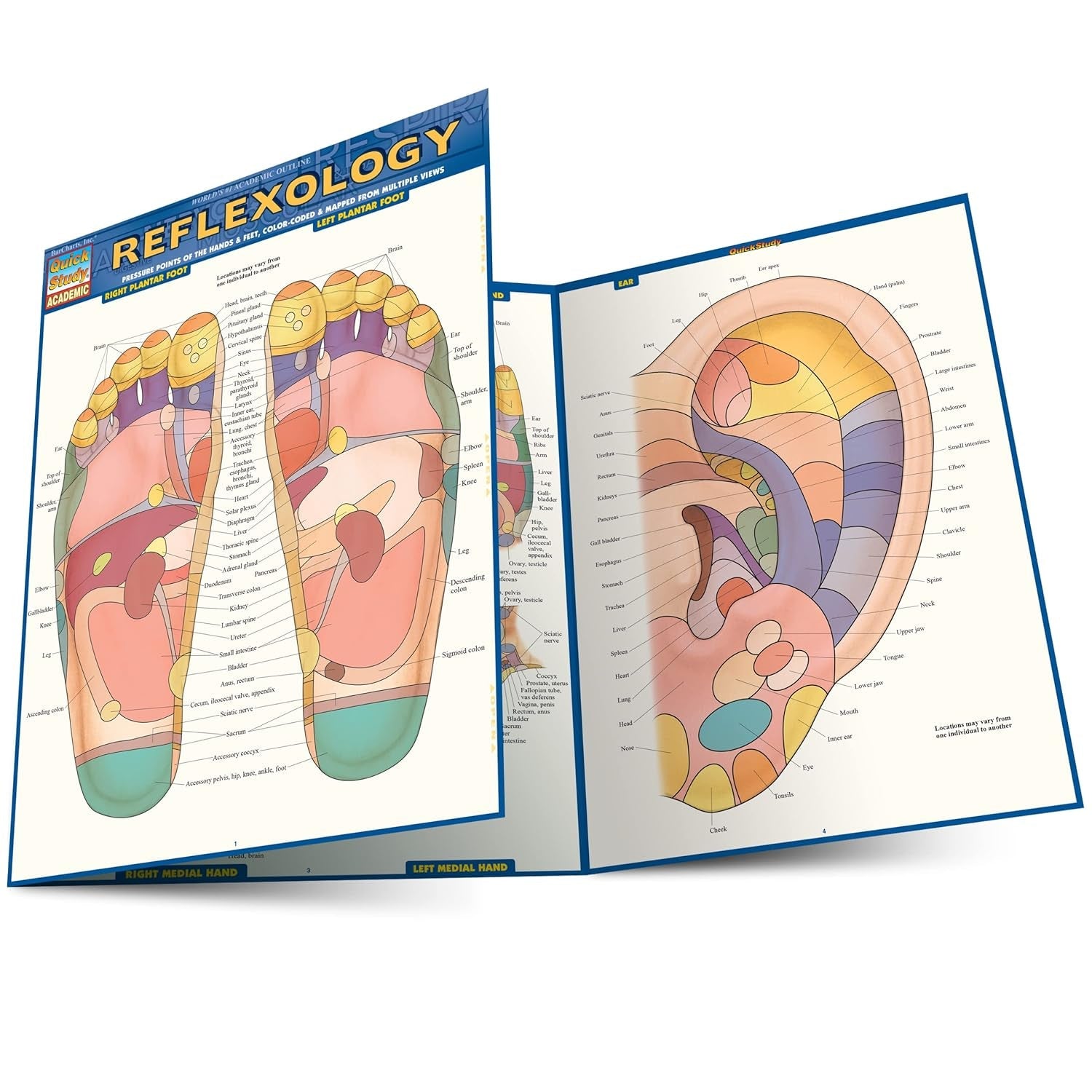 SooZen Reflexology eBook